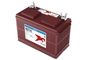 Trojan SCS225 12V Flooded Battery