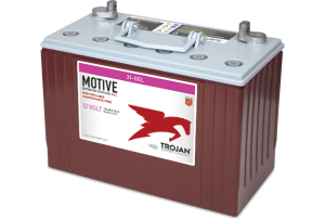 Trojan 31-GEL 12V Gel Battery