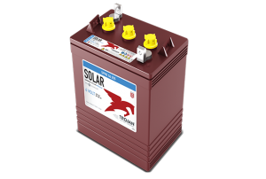 Trojan SPRE 06 255 6V Flooded Battery